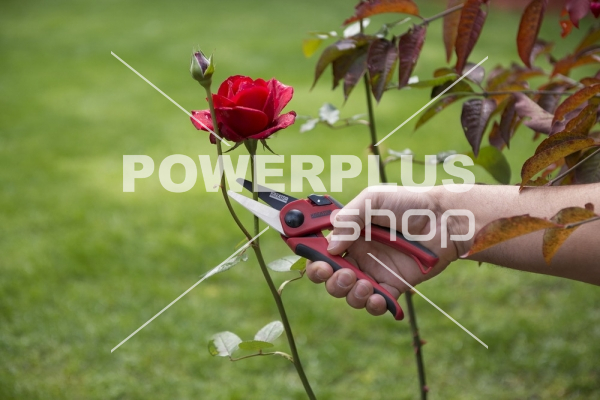 Modální Další obrázky pro KRTGR1003 - Nůžky zahradnické 205mm přímé