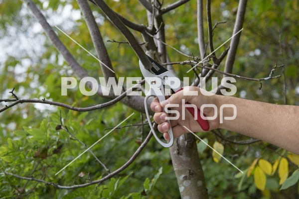 Modální Další obrázky pro KRTGR1004 - Nůžky zahradnické 205mm ráčnové