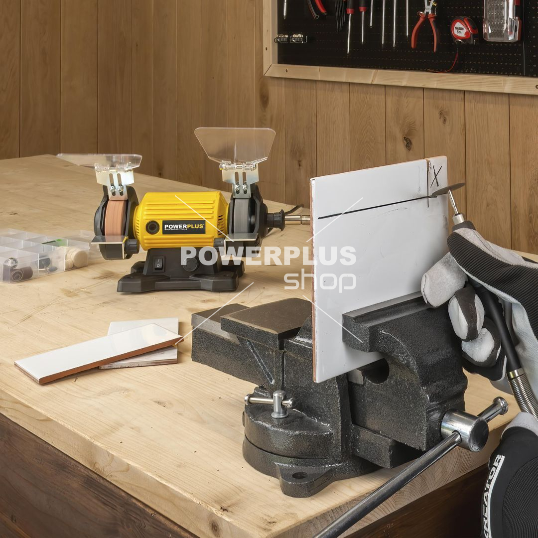 POWX1280 - Dvoukotoučová bruska s flexibilní hřídelí 120W